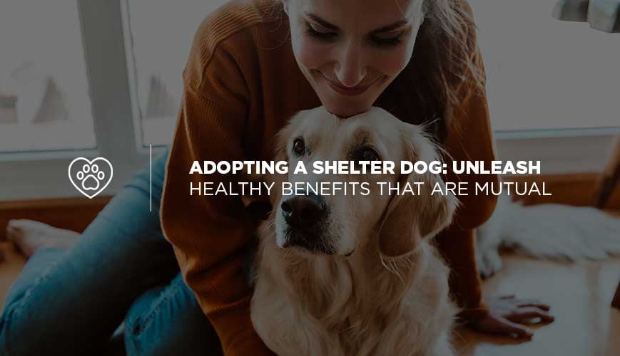 Adopt a Shelter Dog