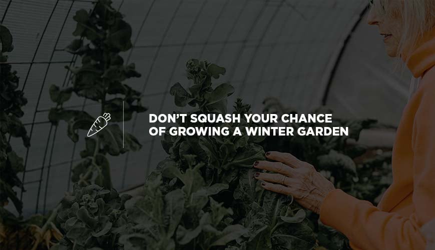 Grow Your Winter Garden