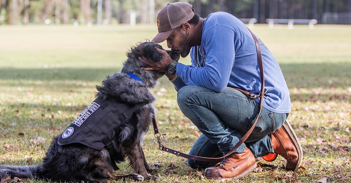 Service Dogs for Veterans and Others