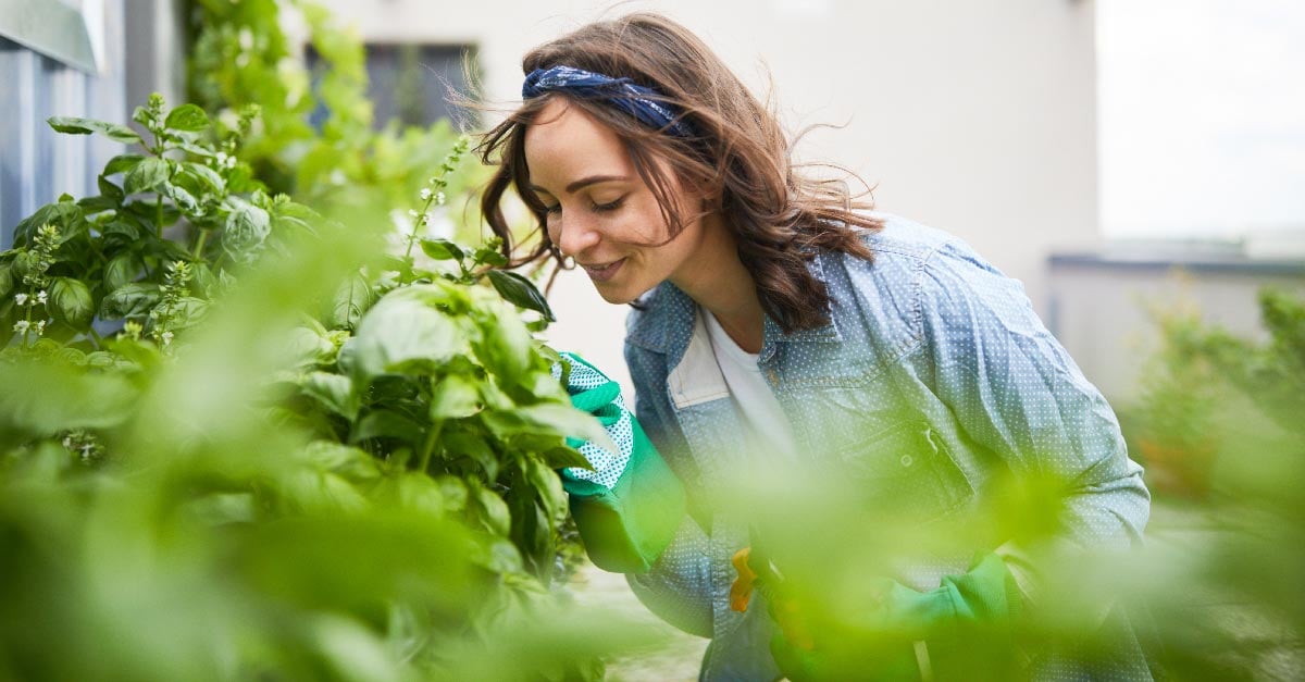 Chiropractic Care for Everyday Activities